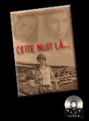 visueldvd176